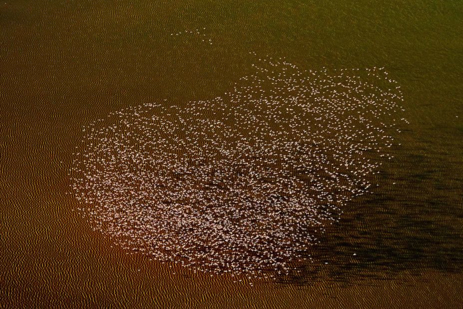 <strong>Nairobi Lake Magadi:</strong> A flock of flamingos fly high over Lake Magadi in a heart shape.  