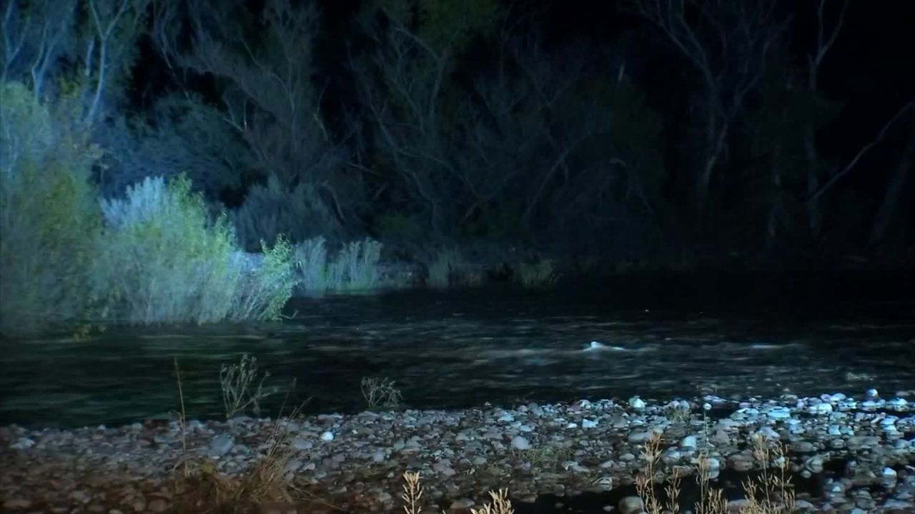 Four children and an adult escaped the car onto an island in the creek, authorities said.