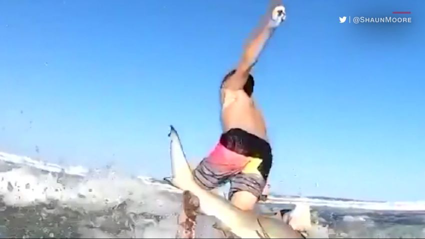 Shark sideswipes boy on surfboard