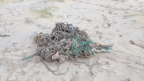 A necropsy found 220 pounds of debris in the whale's stomach, including sections of fishing nets.