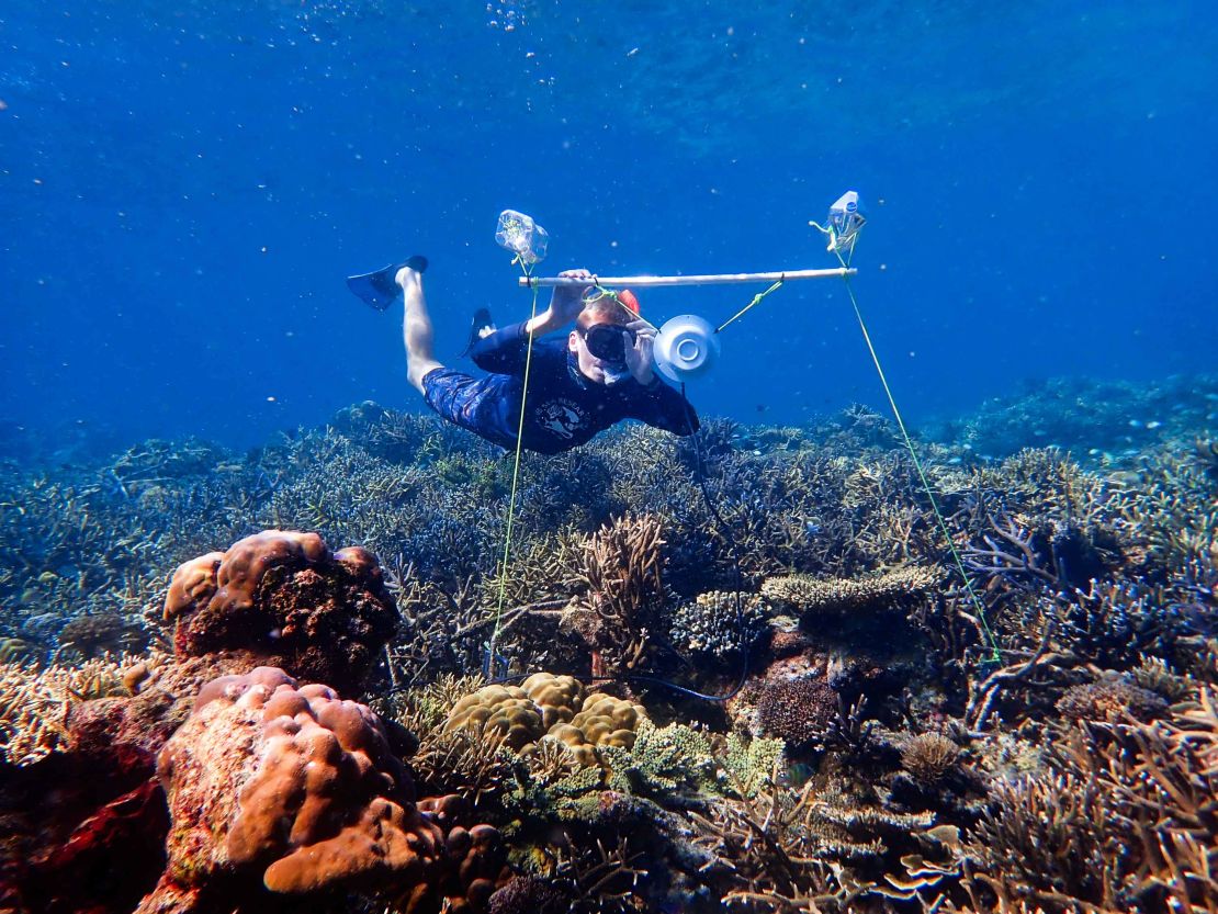 Researcher Tim Gordon deploys an underwater loudspeaker on a coral reef.