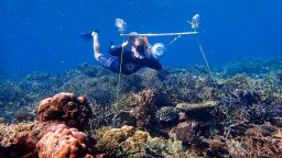 Tim Gordon deploys an underwater loudspeaker on a coral reef 