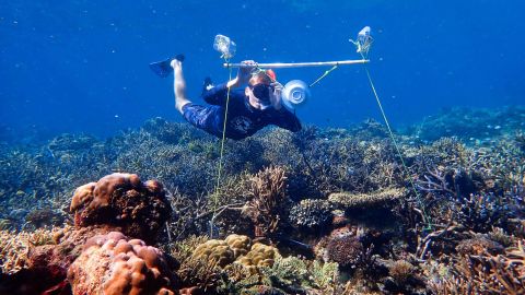 Researcher Tim Gordon deploys an underwater loudspeaker on a coral reef.