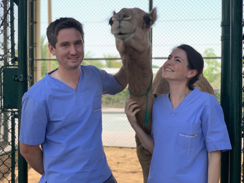 Dr Matthew De Bont and Dr Claire Booth are among the specialist staff at the DCH, which has 65 employees and capacity to treat 22 camels simultaneously.<br /><br />The $10 million facility cares for the prized pets of the rich and famous, including camels belonging to Dubai's royal family.  