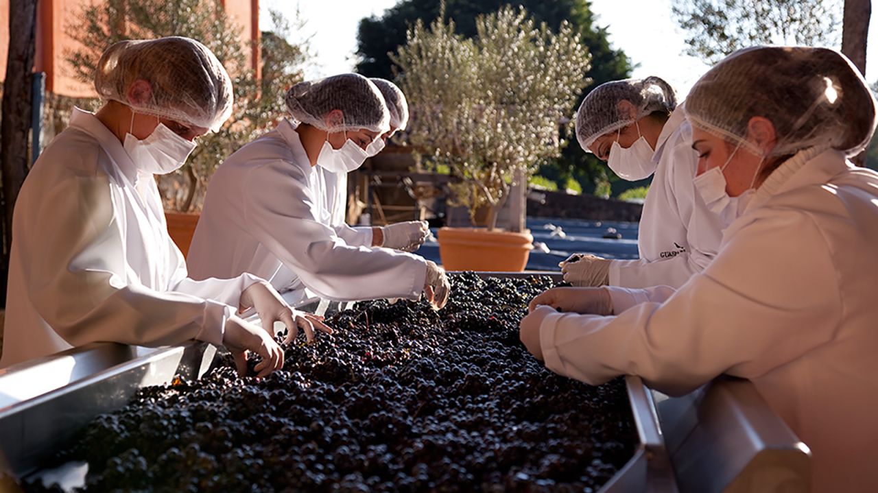 A wine tasting visit to Guaspari vineyards, located 123 miles north of the city, is a pleasant surprise.