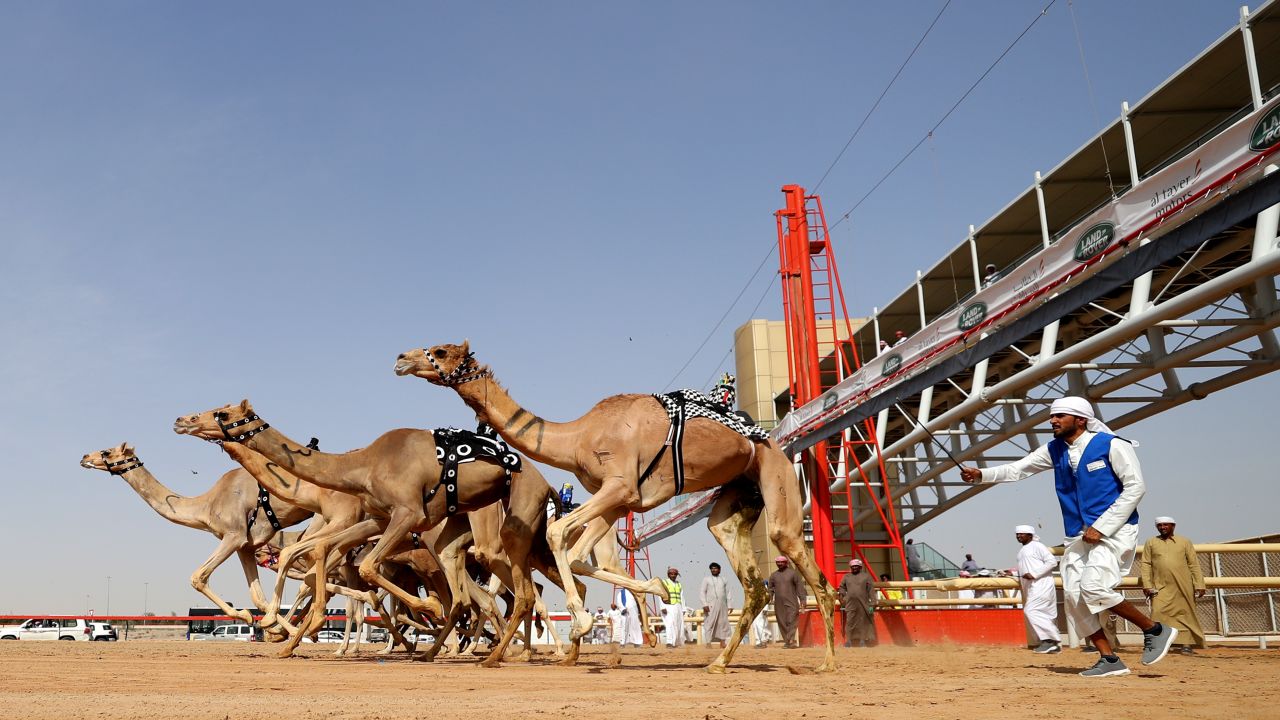 Camel race at Al Marmoom Heritage Festival on April 09, 2019 in Dubai. 