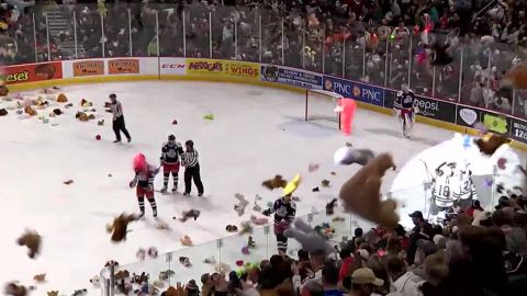 Teddy bear toss: Fans threw 45,000 stuffed animals at a Pennsylvania hockey  team -- for charity, of course | CNN