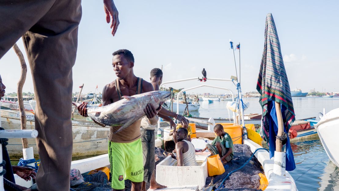 What do you do about a piracy crisis? Encourage people to fish