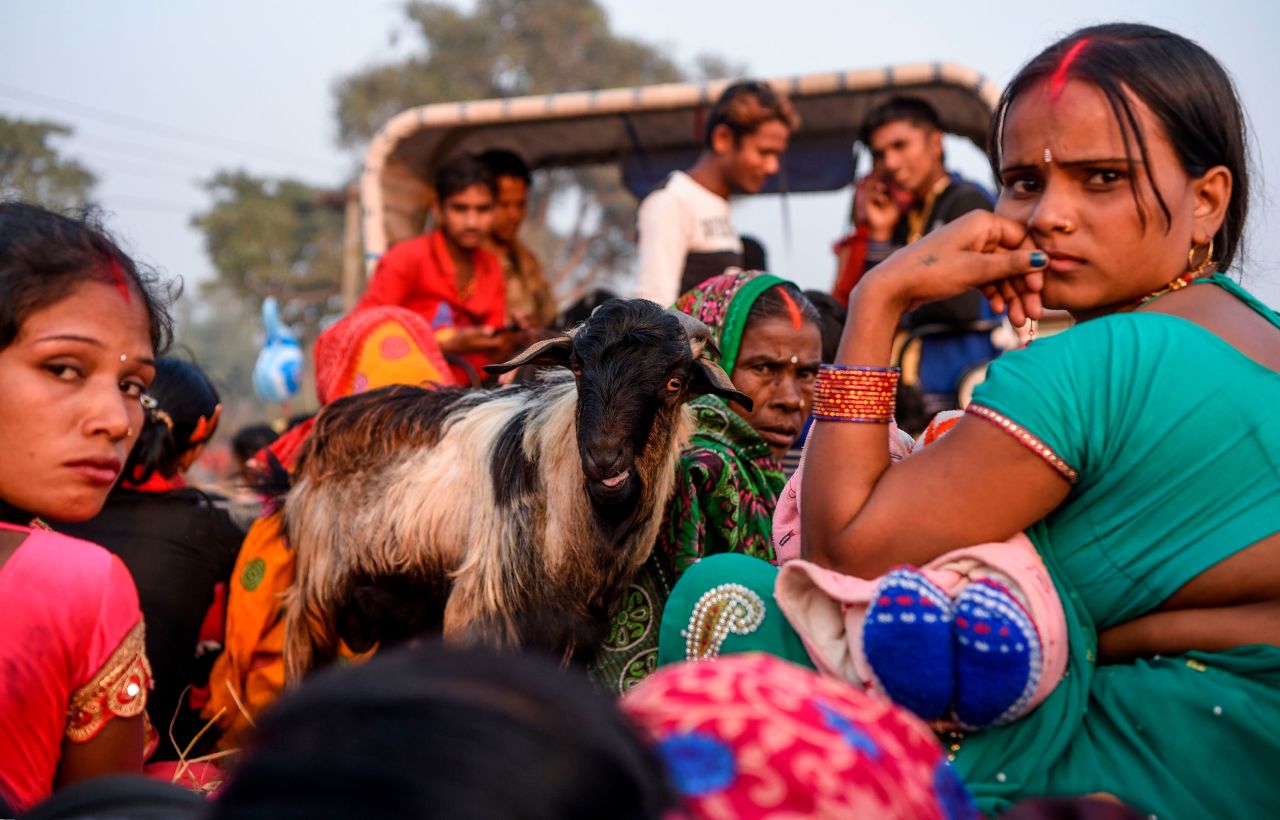 Hindu devotees look on as they travel with a goat in a vehicle ahead of the Gadhimai festival on December 2.