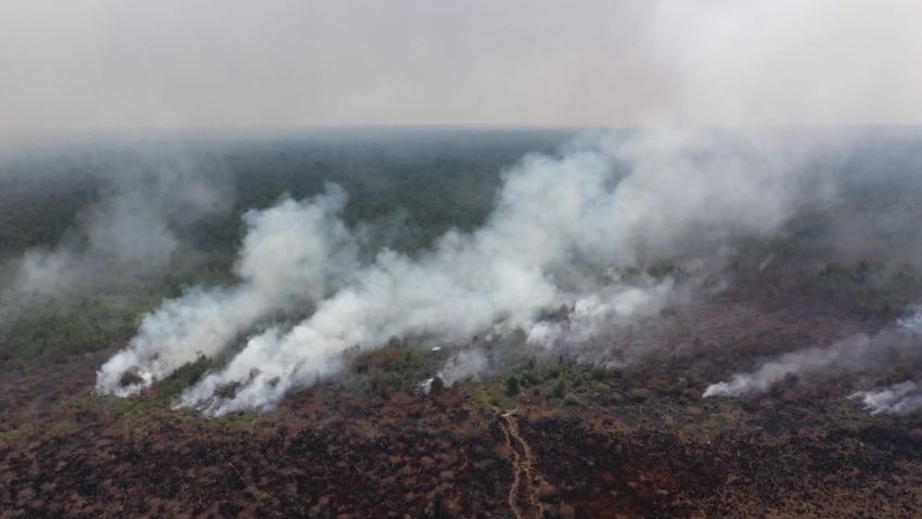 borneo is burning full documentary watson vpx_00012512.jpg