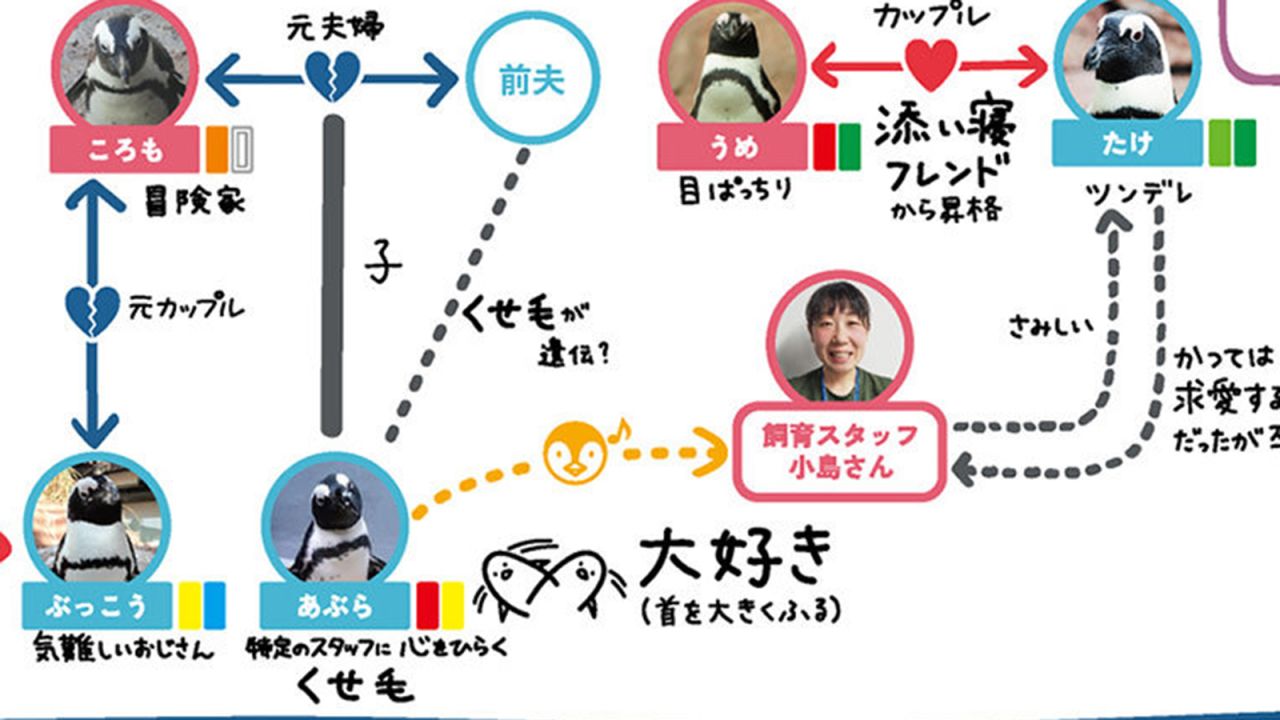 The charts are packed with observations from the penguins' caretakers. In this photo, the staff wrote down that Aburi shakes his head when he sees his caretaker Kojima, indicating happiness.