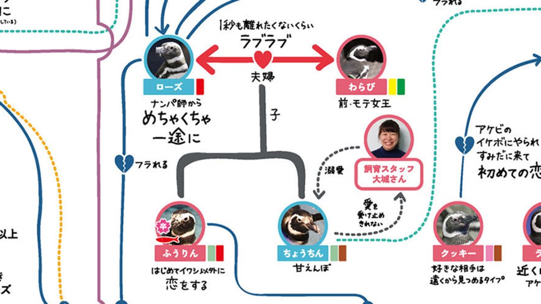 <strong>Sumida Aquarium's star couple: </strong>Rose (top left, blue bubble) was a pick-up artist and a penguinizer before meeting Warabi (top right, pink bubble), formerly the most popular penguin in the aquarium.