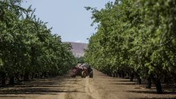 A worker sprays almond trees with pesticide at Del Bosque Farms Inc. in Firebaugh, California, U.S., on Monday, April 6, 2015. California lawmakers approved legislation sought by Governor Jerry Brown that authorizes spending $1 billion to manage the drought gripping the most populous U.S. state for a fourth year. Photographer: David Paul Morris/Bloomberg via Getty Images
