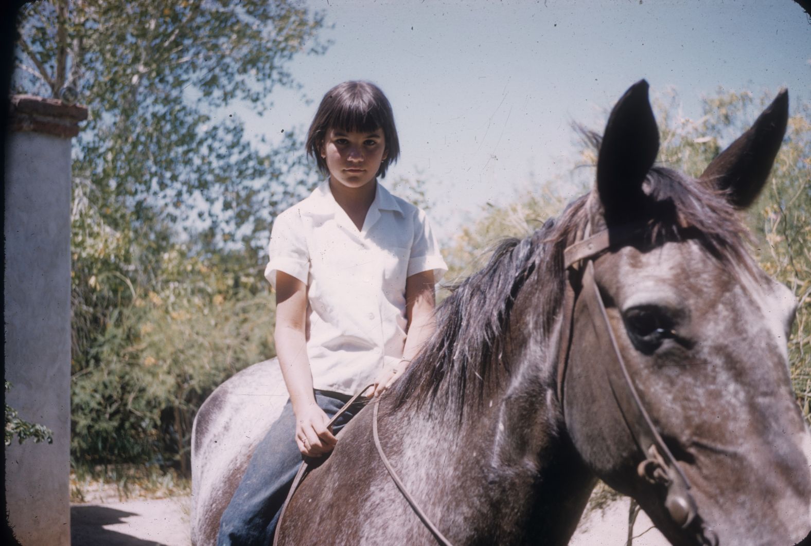 Ronstadt's childhood home was always filled with music, and vocal talent seemed her birthright. Her father "had a beautiful baritone singing voice," she says in her book, and her grandfather conducted a brass band in the late 19th century. Meanwhile, her aunt was a performer who specialized in traditional music from parts of Mexico and Spain.