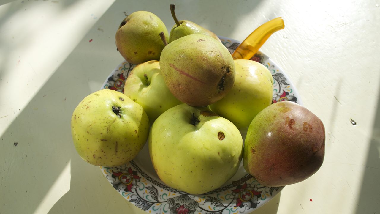 <strong>Nature's bounty: </strong>Pears and apples from Halima Qanbarova's garden. The trees may be contemporaries of her famous father. 