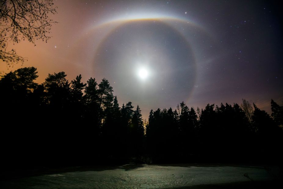 A lunar halo above the forest of Mogilev, Belarus demonstrates a phenomenon often seen in frosty weather when there is high humidity.