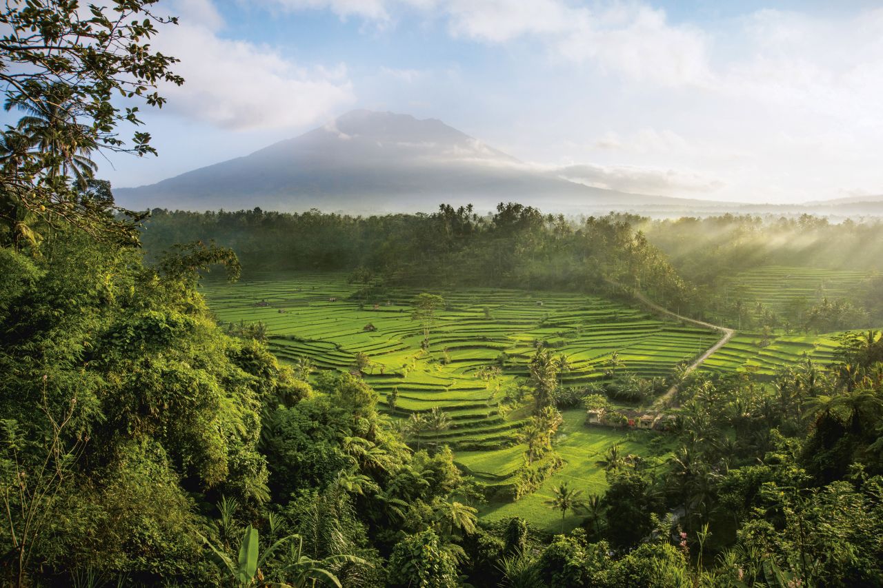 A view over the sacred Mahagiri rice terraces, a small portion of the one thousand year old agrarian system known as the subak, which is unique to the island of Bali, Indonesia.