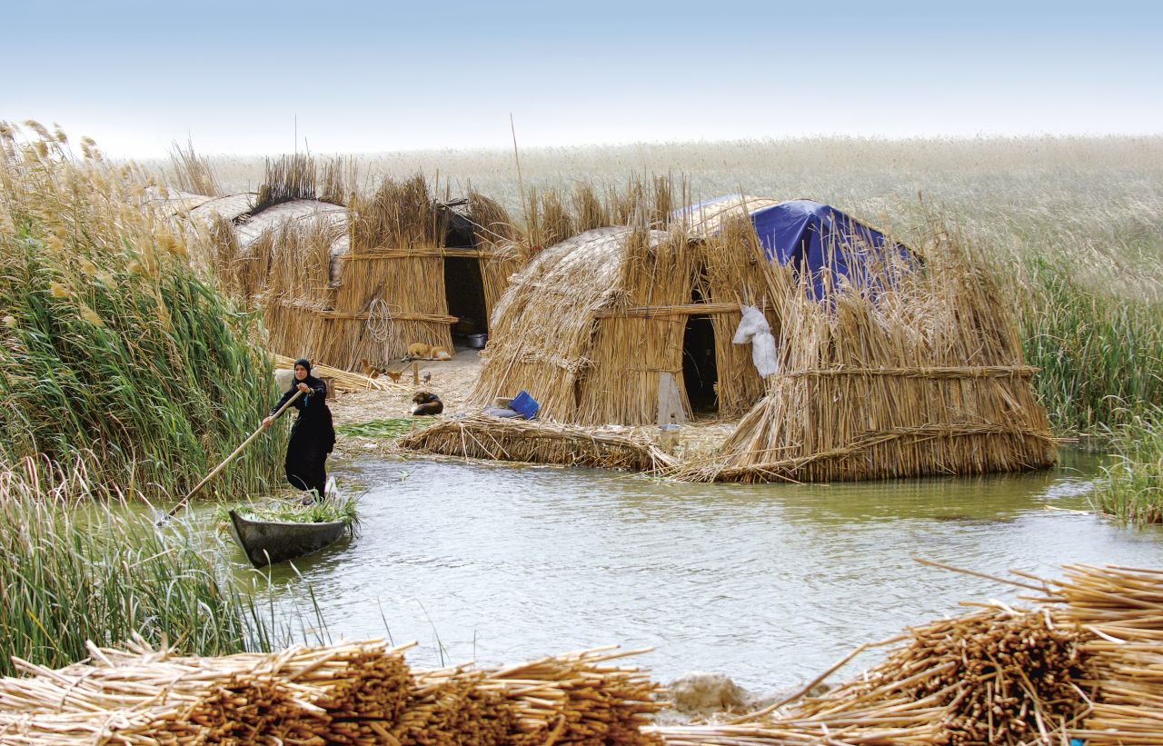 Qasab reed has long served as raw material for homes, handicrafts, tools, and animal fodder with the distinctive mudhif houses of the Ma'dan people appearing in Sumerian artwork from five thousand years ago.
