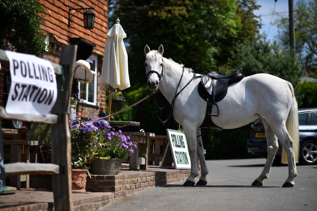 A horse tethered outside a polling station during this year's European elections.