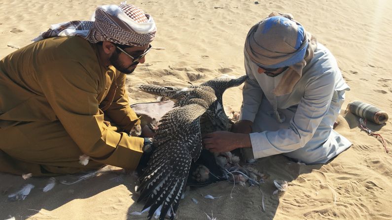 <strong>One to three days: </strong>According to Mohammad Basheer, the guest coordinator at the reserve, a typical visit is one to three days, although guests can come for just one morning or afternoon hunt if they prefer. 