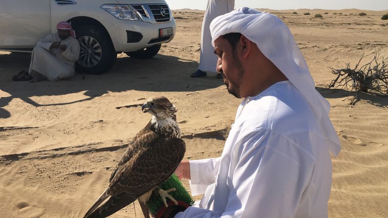 <strong>Rabbits and birds:</strong> Rabbits and indigenous houbara bustards and karawan are either bred on-site or bought from other government-regulated breeders and then released into the desert. 