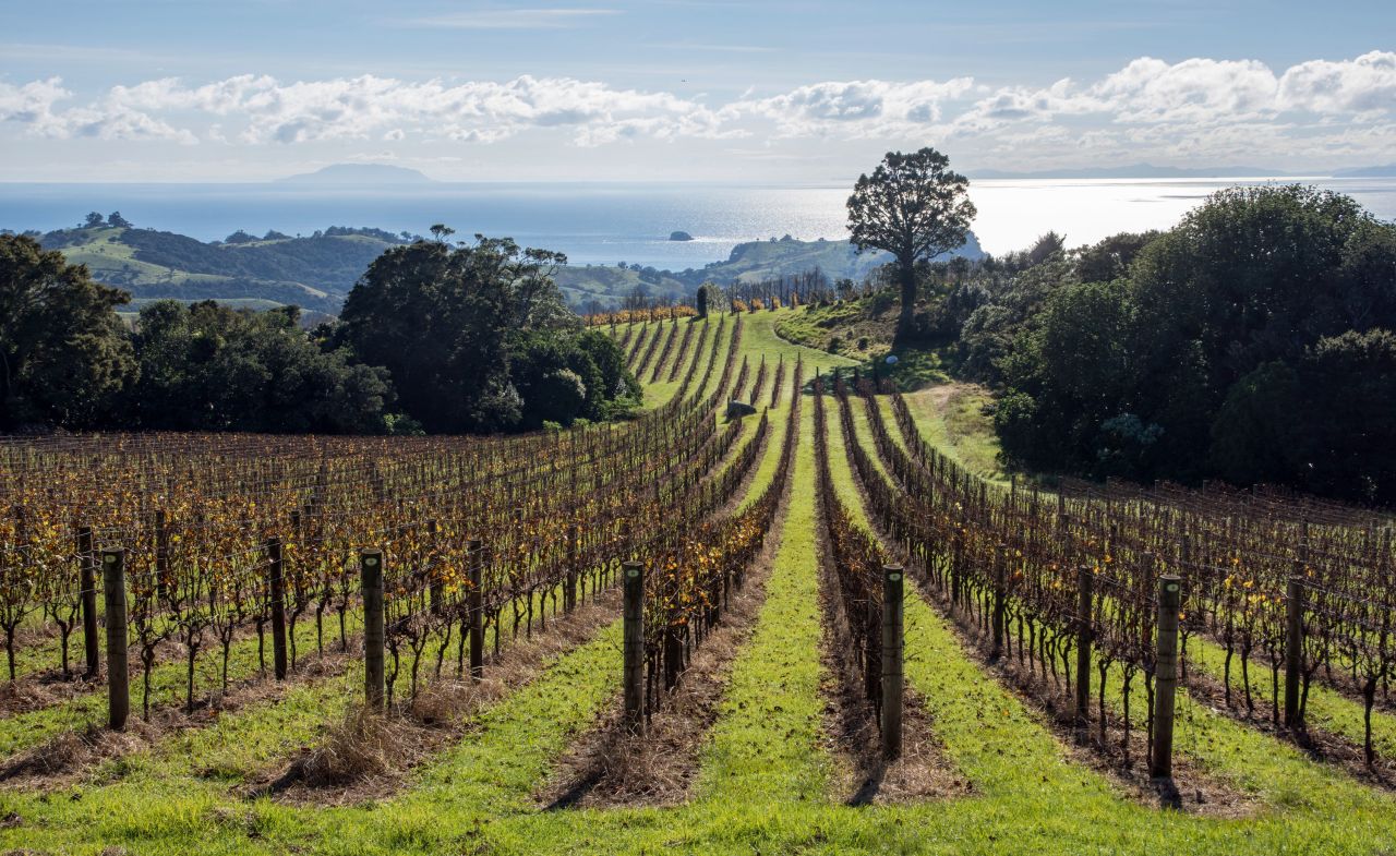 <strong>Waiheke Island: </strong>Just 40 minutes from the terminal in Auckland, Waiheke boasts idyllic beaches, bush-clad walking trails and 20-odd vineyards.