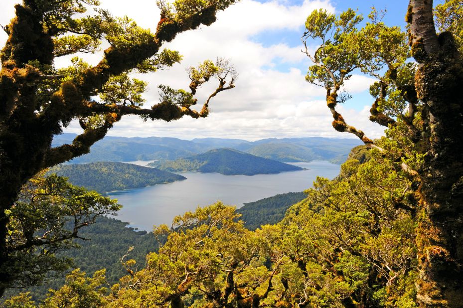 <strong>Lake Waikaremoana + Te Urewera: </strong>The complete Lake Waikaremoana Track features sprawling forests, remote beaches and incredible views.