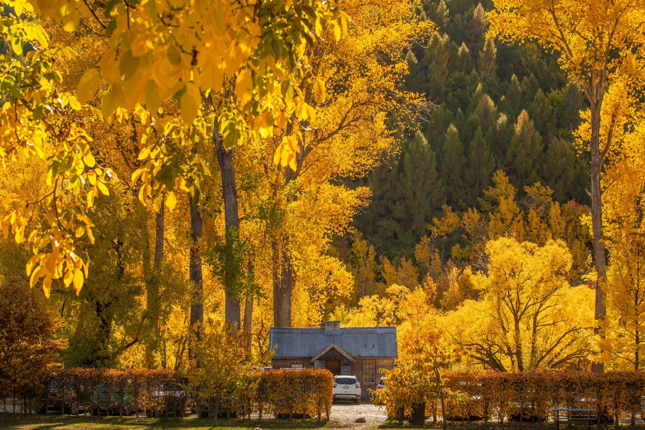 <strong>Arrowtown: </strong>Arrowtown, on the South Island, is a popular destination to see autumn colors.