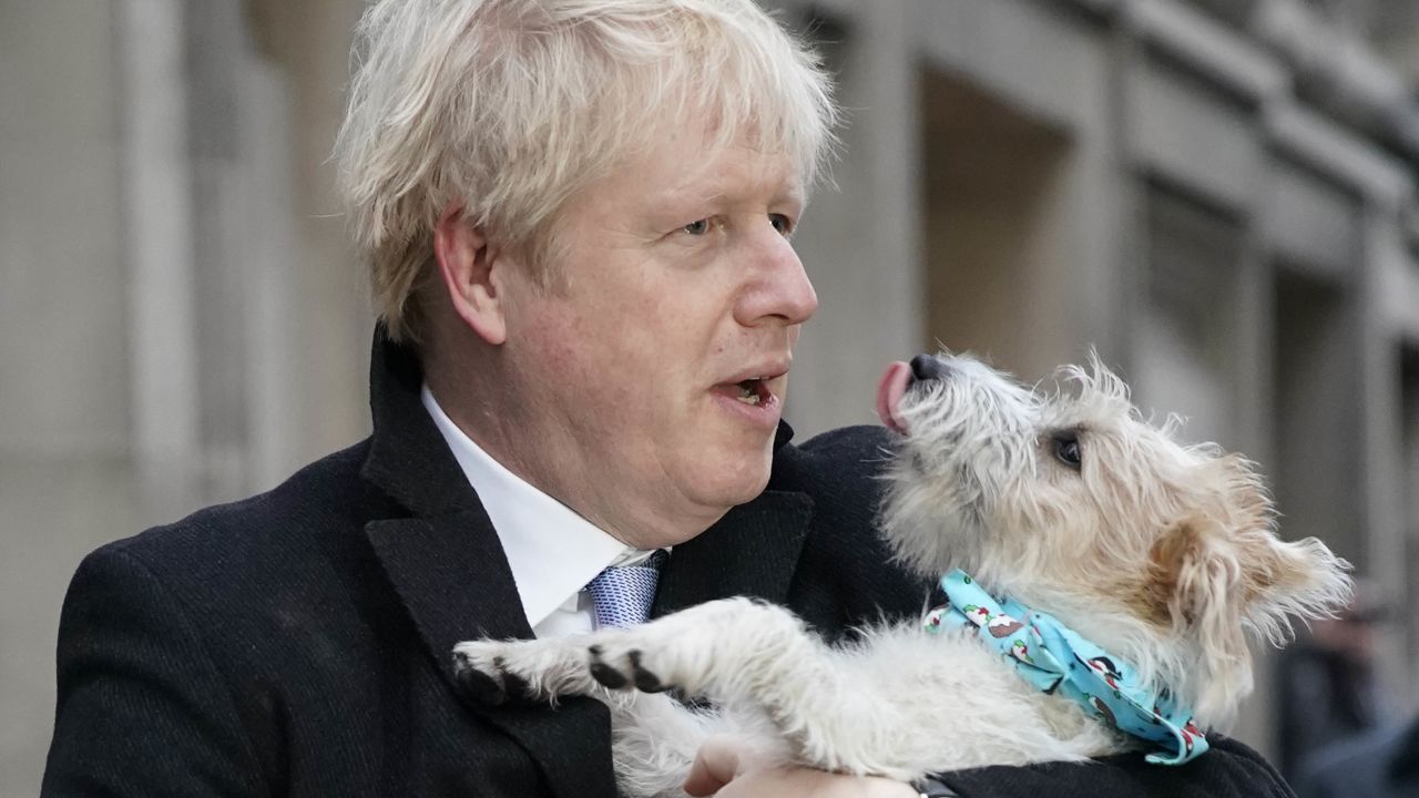 "He has a history of doing what is best for Boris," says one former Downing Street adviser who has worked with Johnson, pictured here with his dog Dilyn in December 2019.