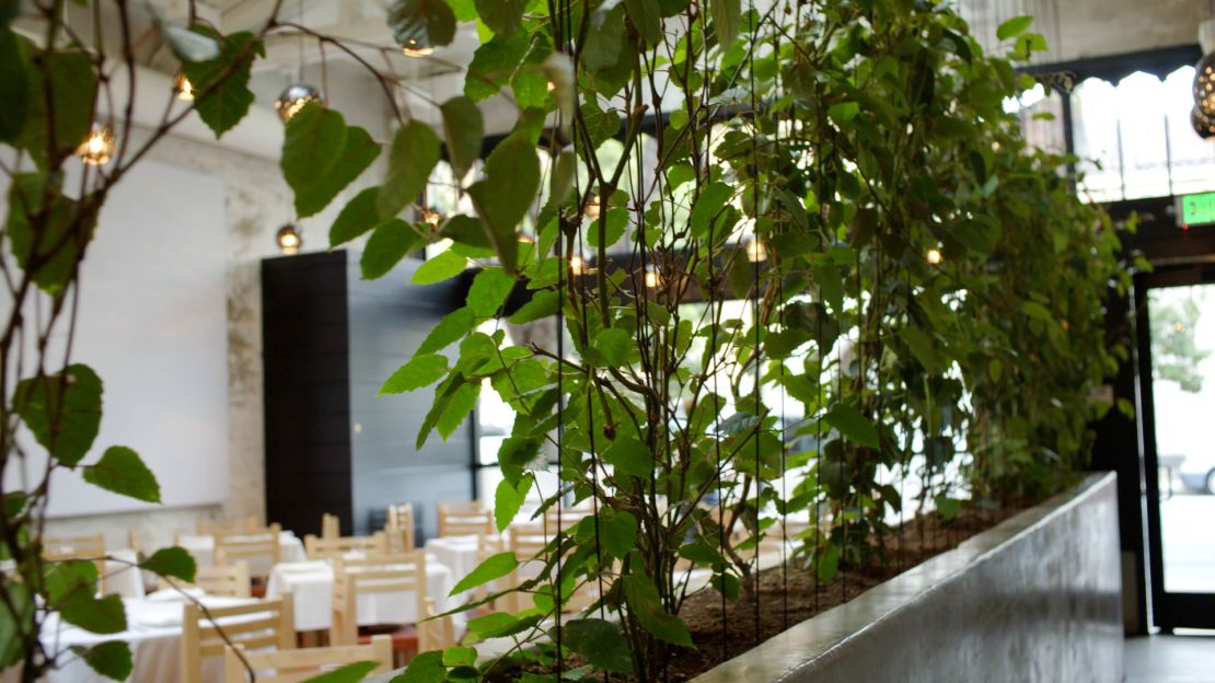 Cala is Cámara's second San Francisco restaurant, serving sustainable, Mexican seafood in a bright, airy setting.