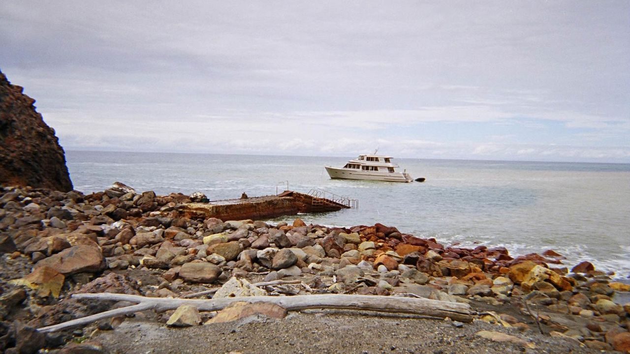 Boat trips have long carried visitors to White Island. 