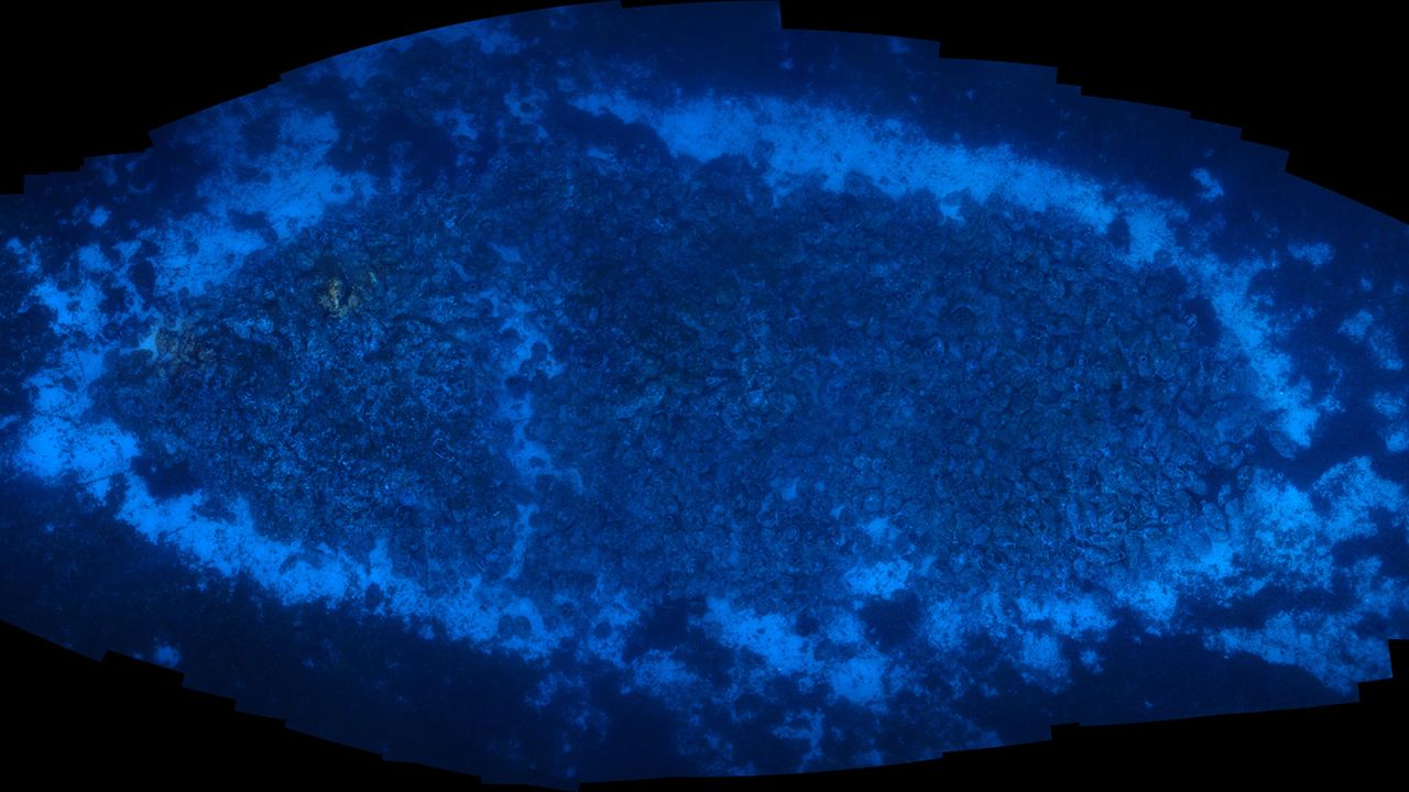 Archaeologists located the shipwreck with sonar.