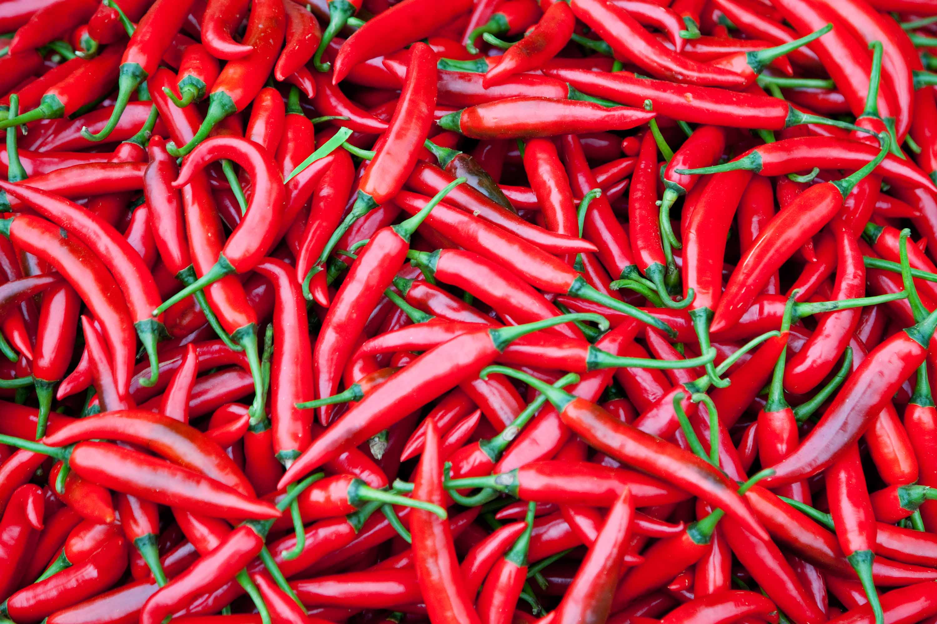 Eating chilies cuts risk of death from heart attack and stroke, study says