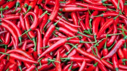red chili peppers STOCK