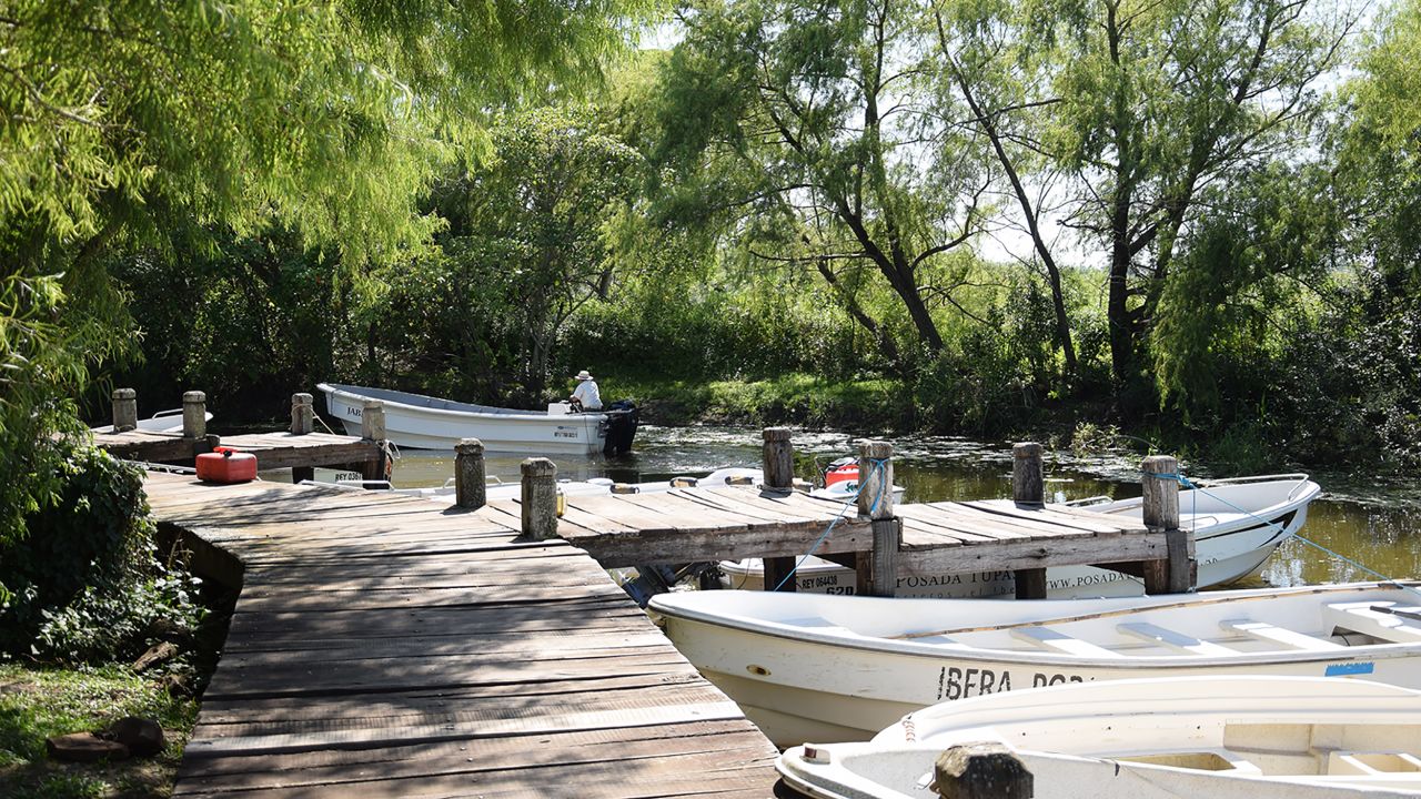 Boats depart from Carlos Pellegrini for tours of the Iberá Lagoon.