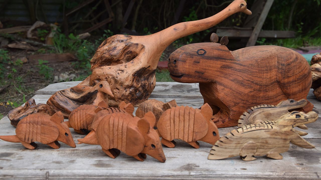 <strong>Local art:</strong> There are several shops in Carlos Pellegrini where tourists can purchase locally made arts and crafts, including wood-carved animals.