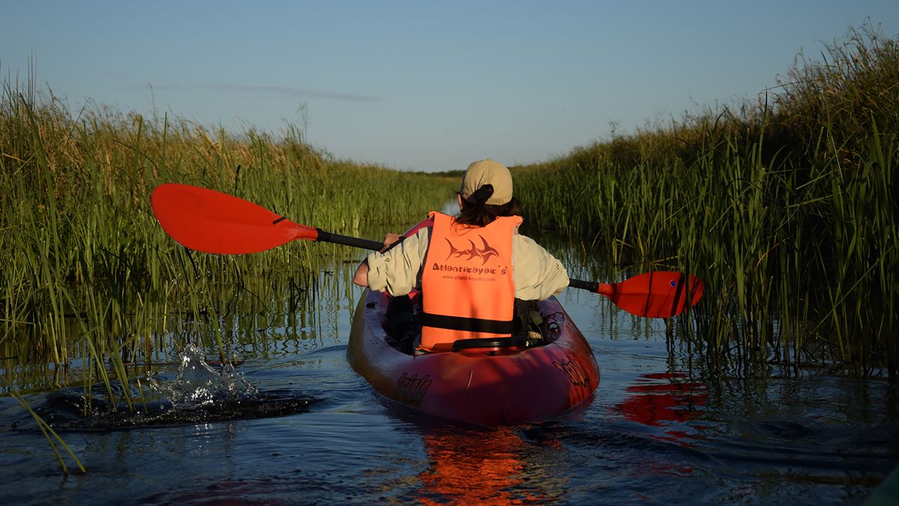 <strong>Travel by boat:</strong> Kayaking is one of the most popular ways for tourists to explore Iberá's 75 lagoons.