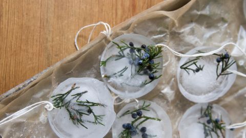 Erin Boyle's ice ornaments.