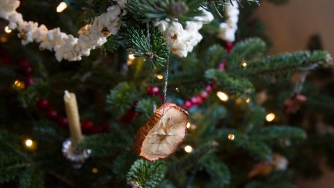 Writer Erin Boyle adds natural decorations to her tree each year.