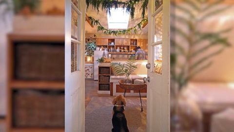 The Tiny Canal Cottage is festive and twinkly -- no store-bought decorations required.