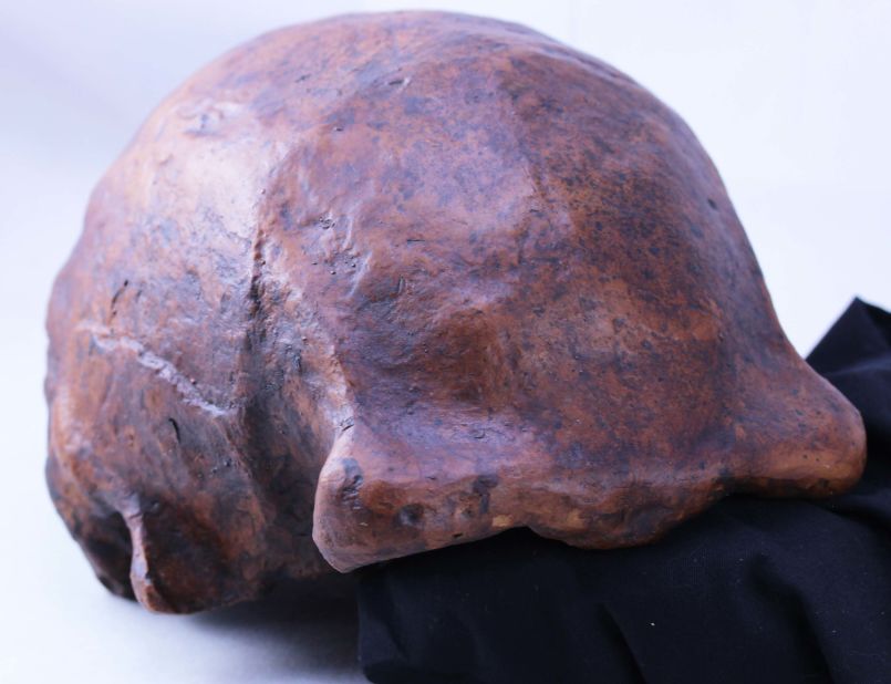 A Homo erectus skull cap discovered in Central Java, Indonesia reveals how long they lived and when the first human species to walk upright died out.