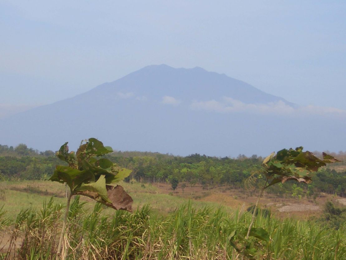 View of the Lawu volcano from the Solo River valley.