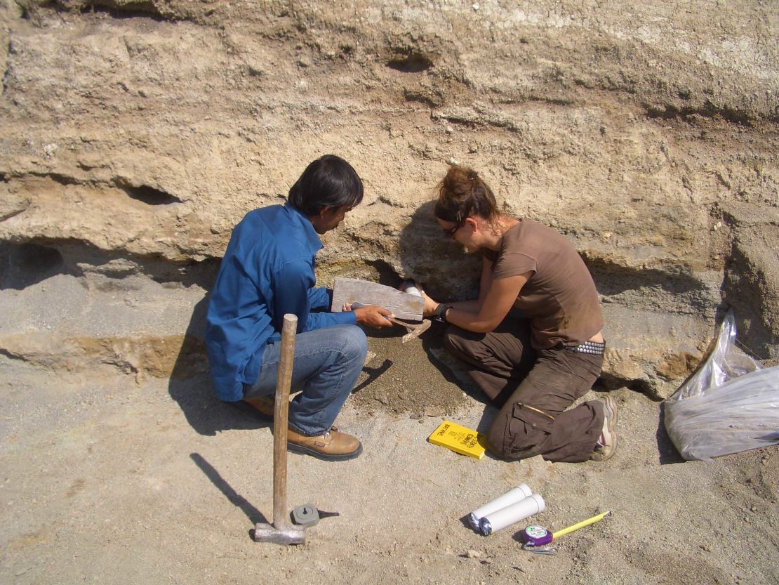 Kira Westaway and Iwan Kurniawan collect a sediment sample for dating from the Sembungan terrace excavation.