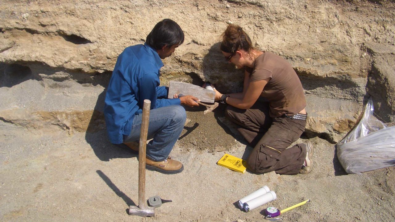 Kira Westaway and Iwan Kurniawan collect a sediment sample for dating from the Sembungan terrace excavation.
