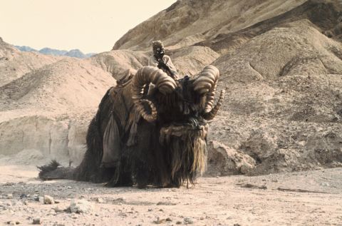 Banthas are beasts of burden used by the sand people on Tatooine and other desert planets. In "A New Hope," the bantha was actually an elephant wearing a head mask, palm fronds and tubing.