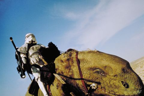Dewbacks are similarly used as beasts of burden by sandtroopers on desert planets and can be seen in "A New Hope," along with other films in the series. The first dewback design used the body of a stuffed rhinoceros, fitted with a reptilian head and tail.