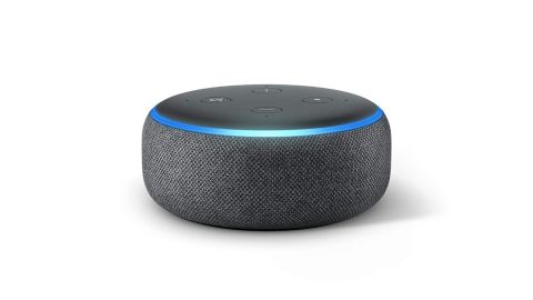 underscored echo dot