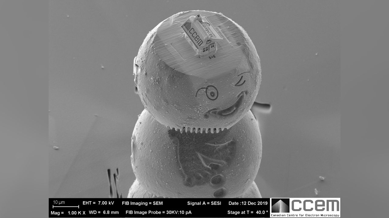 Zoom out a bit, and you'll see the silicon gingerbread home sits on top of a winking snowman.