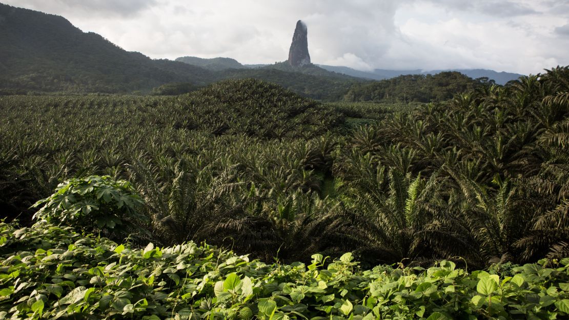 The island nation of São Tomé and Príncipe is home to rich jungle and volcanic peaks, including Pico Cao Grande on  Sao Tome island. 