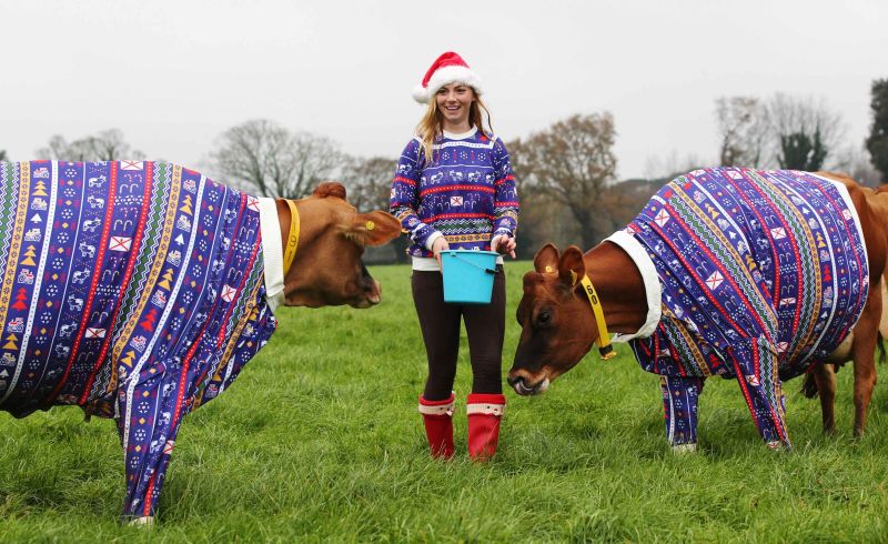 International christmas clearance sweater day